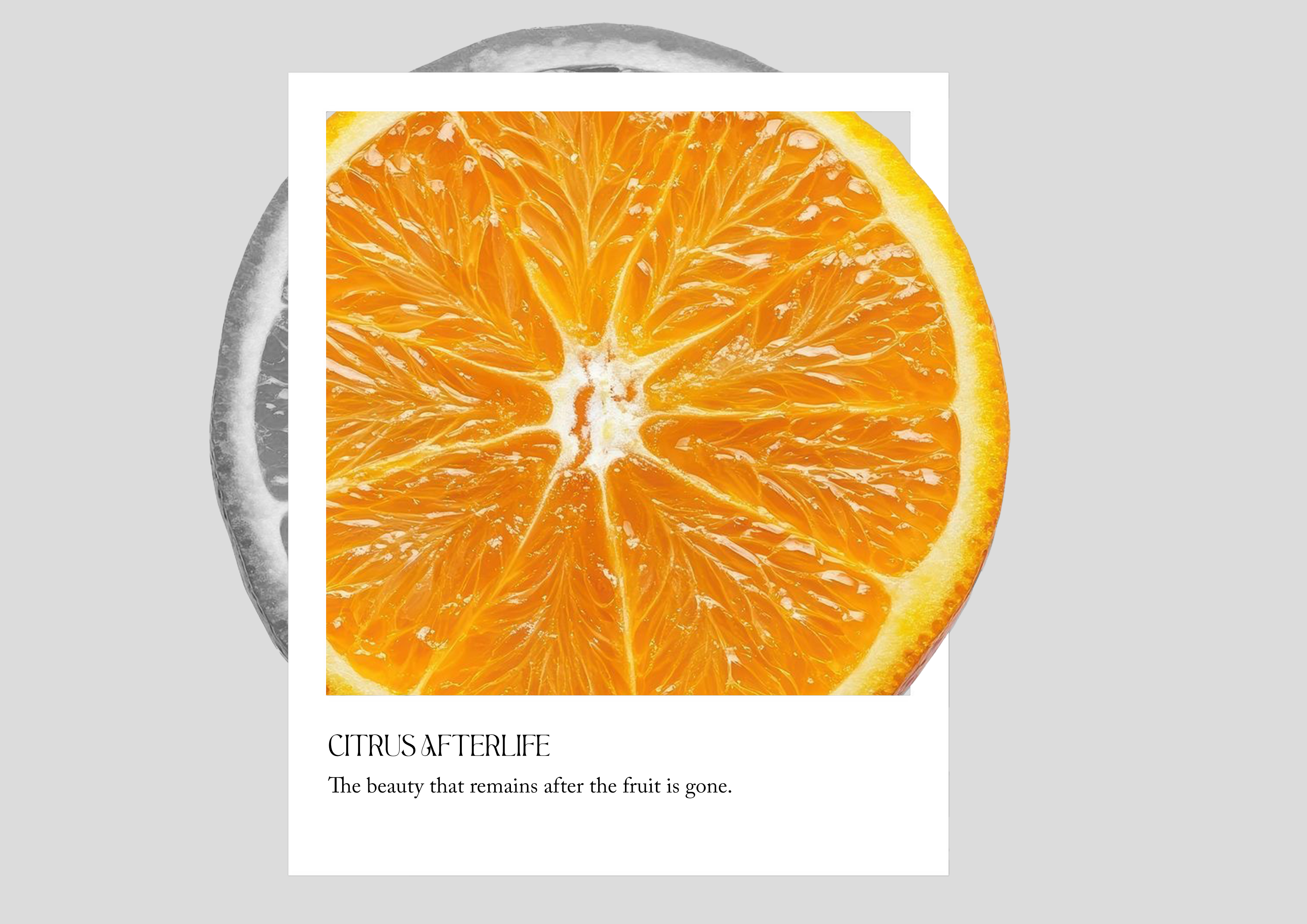 CITRUS AFTERLIFE Cover Image