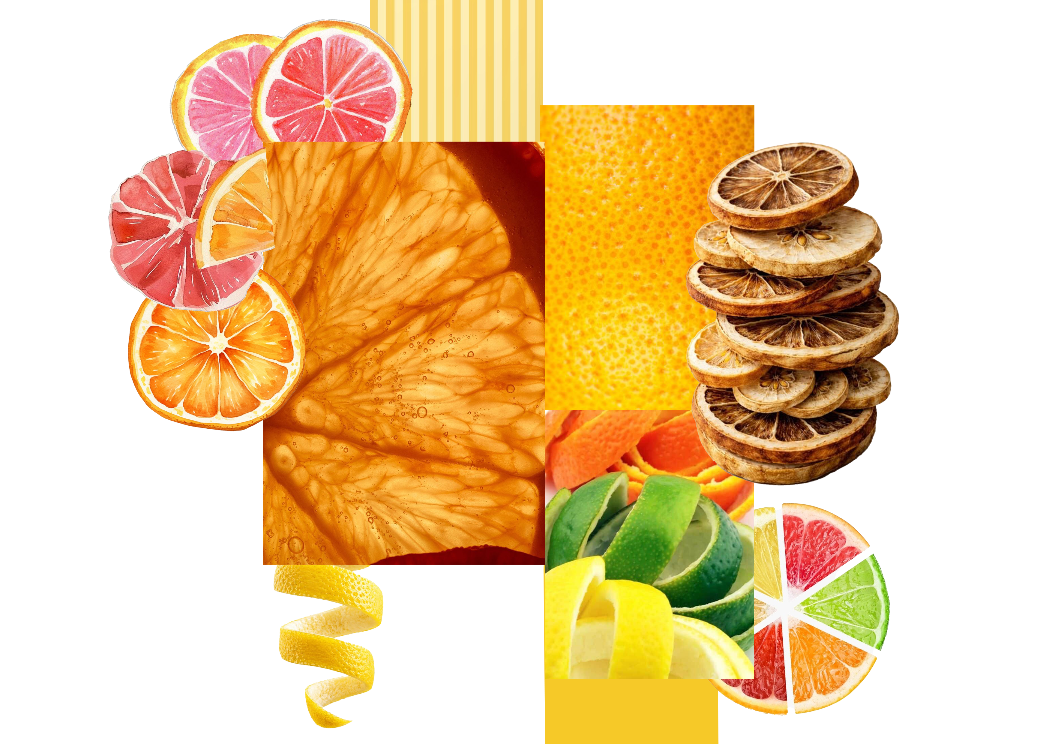 CITRUS AFTERLIFE - Visual 2