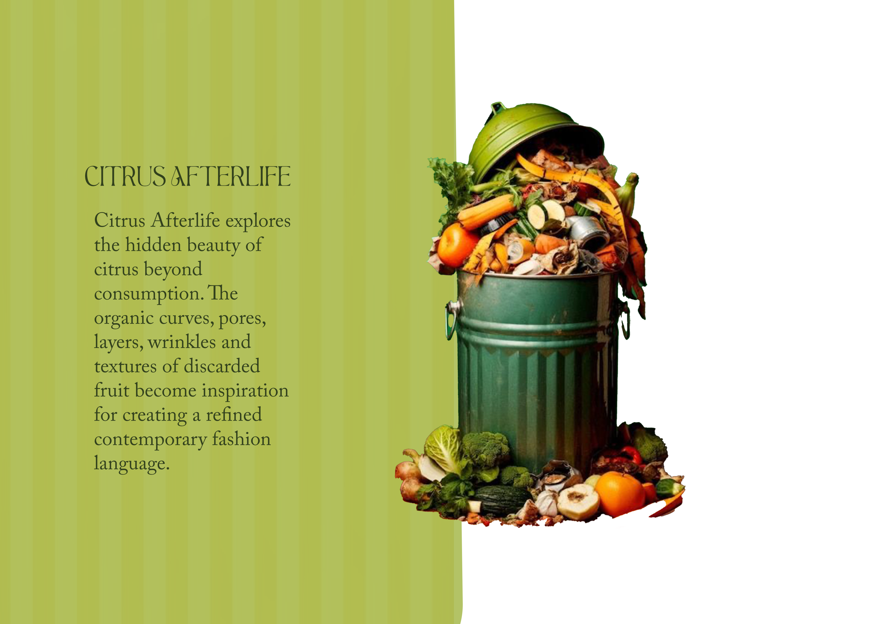 CITRUS AFTERLIFE - Visual 3