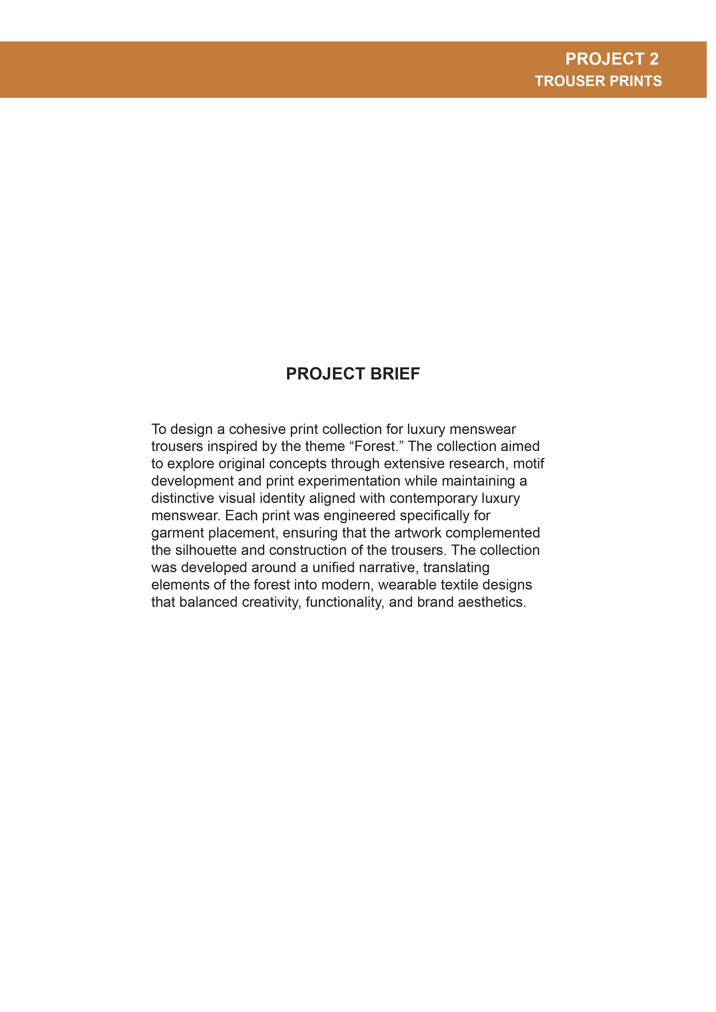 INTERNSHIP WORK - Visual 17